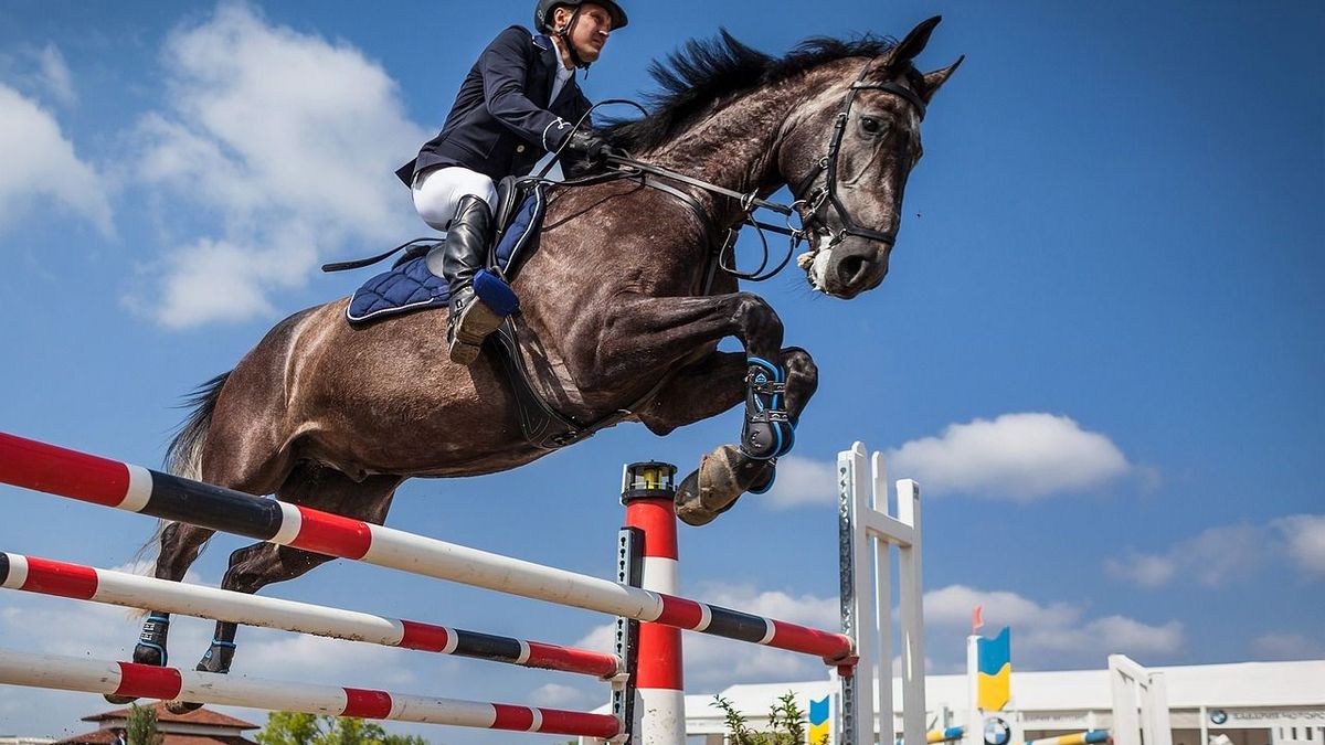Quels sont les accessoires indispensables pour l’équitation ?