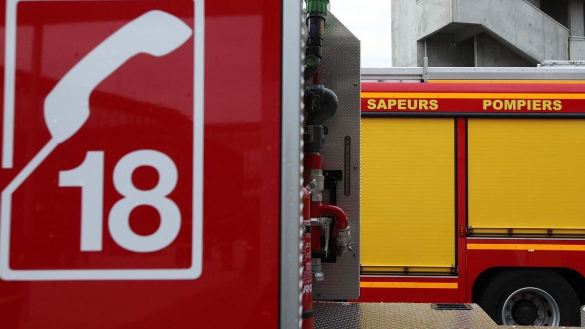 Feu dans les Pyrénées-Orientales : évacuation de 3 000 vacanciers d'un camping suite à un incendie maîtrisé