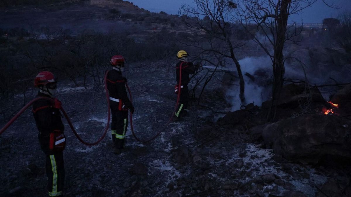 Plus de 300 hectares de forêt détruits par un incendie dans l'Hérault