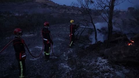 Plus de 300 hectares de forêt détruits par un incendie dans l'Hérault