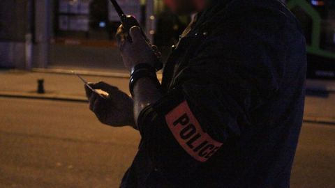Yvelines: Ladrones atrapados en el acto gracias a la videovigilancia del propietario