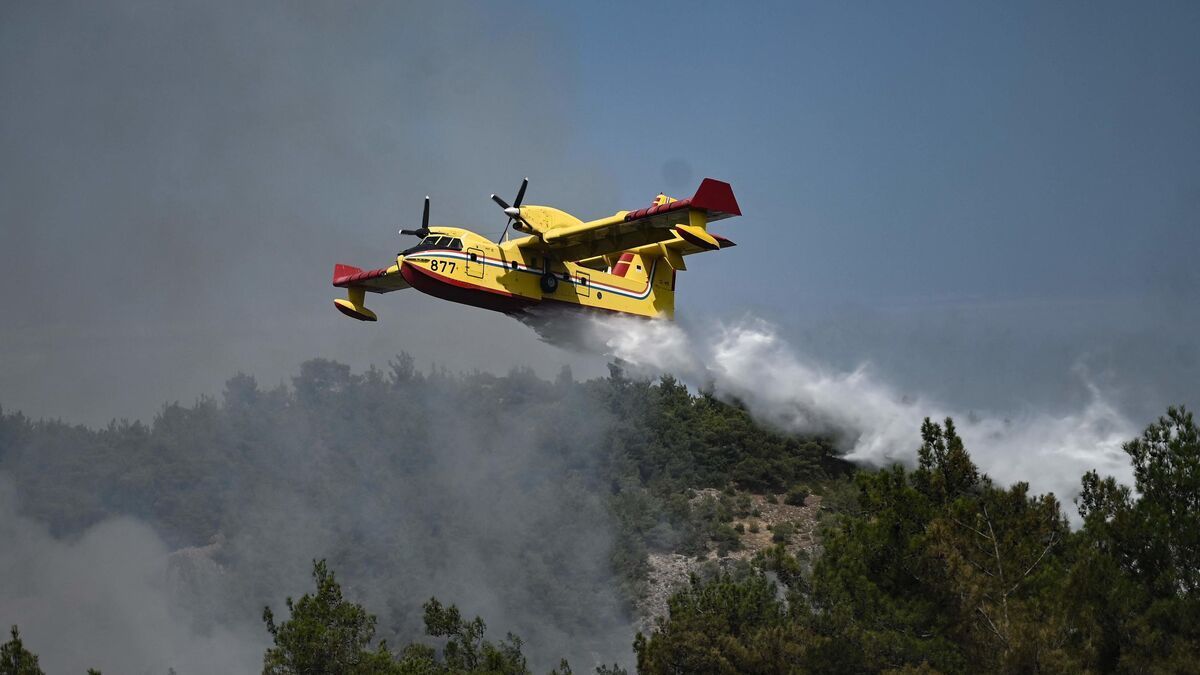 Feu de forêt dans les Pyrénées-Orientales : 400 hectares dévastés, un village proche de Perpignan évacué