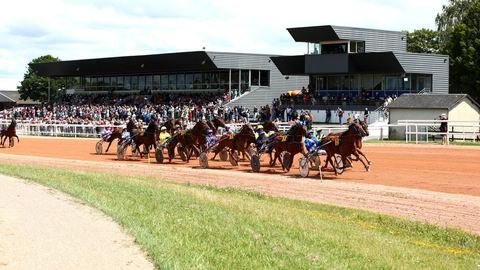 Un cheval triomphe avec une cote astronomique dans une course mais décède aussitôt.