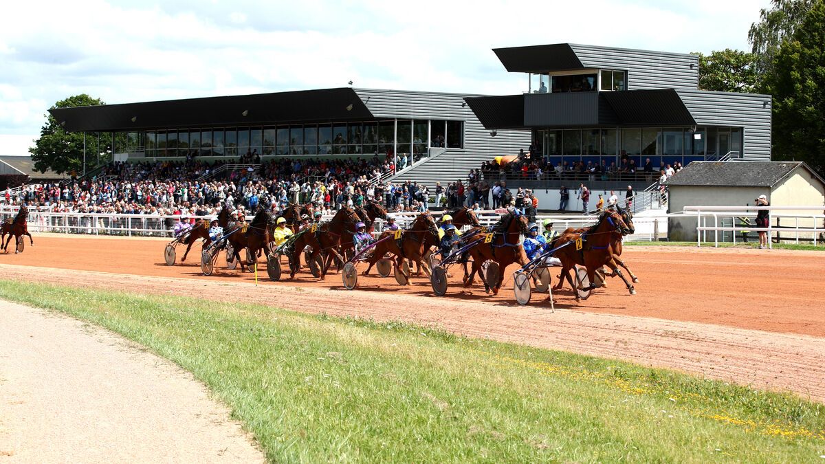 Un cheval triomphe avec une cote astronomique dans une course mais décède aussitôt.