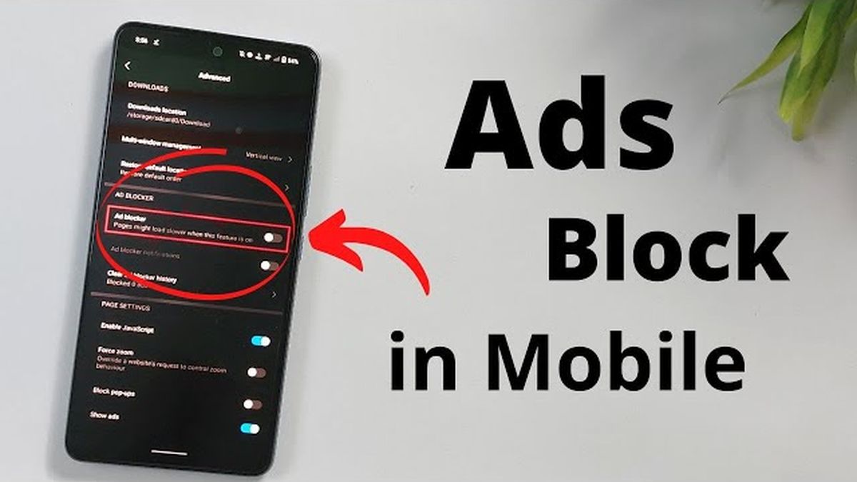 adsmoloco.com en 2024, c'est quoi ?