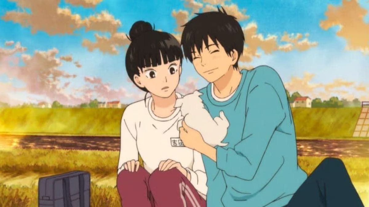 2024'te Seeanime.com nedir?