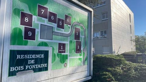 Adolescent des Yvelines ayant agressé sa mère et son frère cadet appréhendé et interné de force à l'hôpital