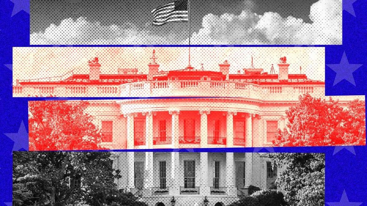 Dernières actualités concernant Donald Trump, Kamala Harris, les résultats de sondages et réponses à vos interrogations