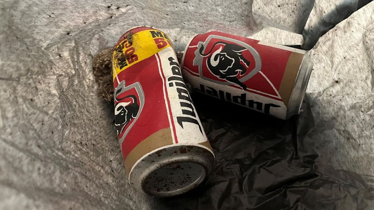 L'erreur néerlandaise : les canettes d'art jetées comme déchets par le musée LAM