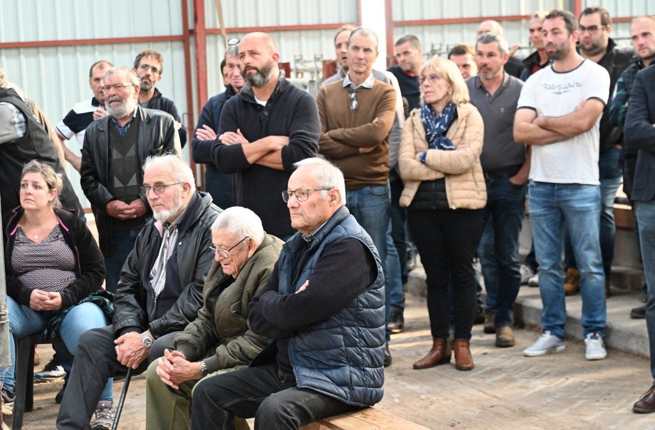 Entdecken Sie die entscheidende Rolle des Ernährungspräsidenten im Jahr 2024, seine Initiativen für nachhaltige Lebensmittel, die Umweltprobleme und die Lebensmittelpolitik, die unsere Zukunft prägen werden. Bleiben Sie über die Entscheidungen informiert, die sich auf unsere Gesundheit und unseren Planeten auswirken.
