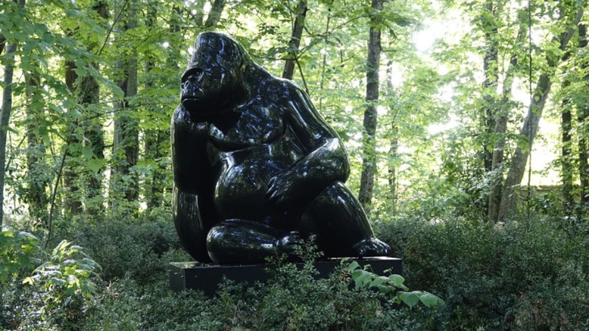 Michel Bassompierre, artiste de renommée internationale, présente son exposition à Vertou