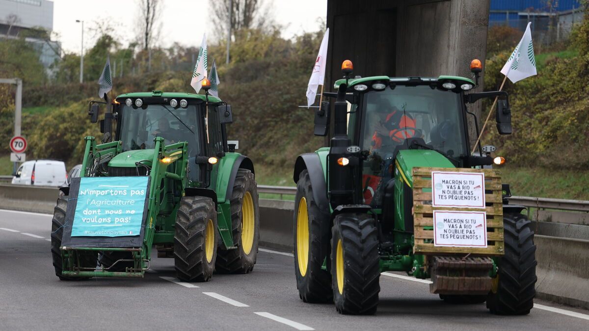 Protestations de colère des agriculteurs : 85 "points de manifestation" répartis à travers Beauvais, Strasbourg, Albi et d'autres villes de France.