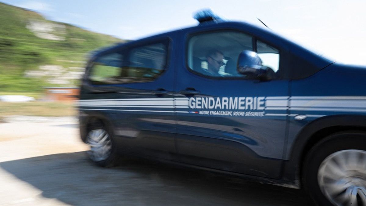 Un couple, intrigué par un véhicule suspect, fait demi-tour et surprend deux voleurs en pleine effraction de leur domicile