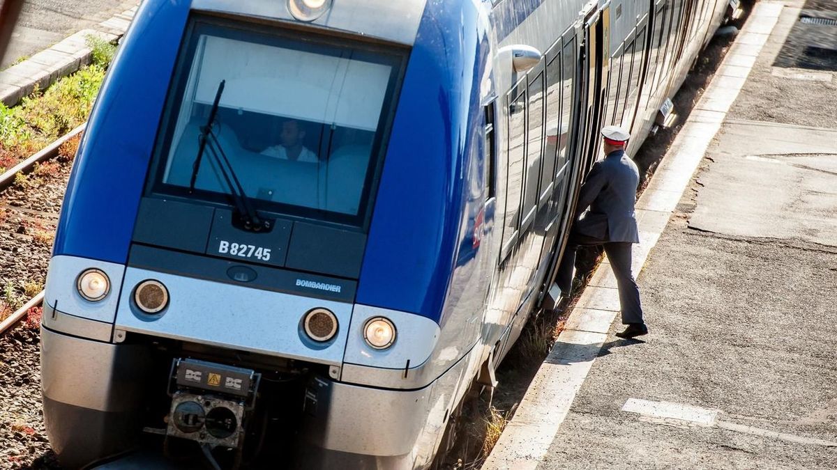 La SNCF, la RATP et les opérateurs auront désormais accès à l'adresse des fraudeurs