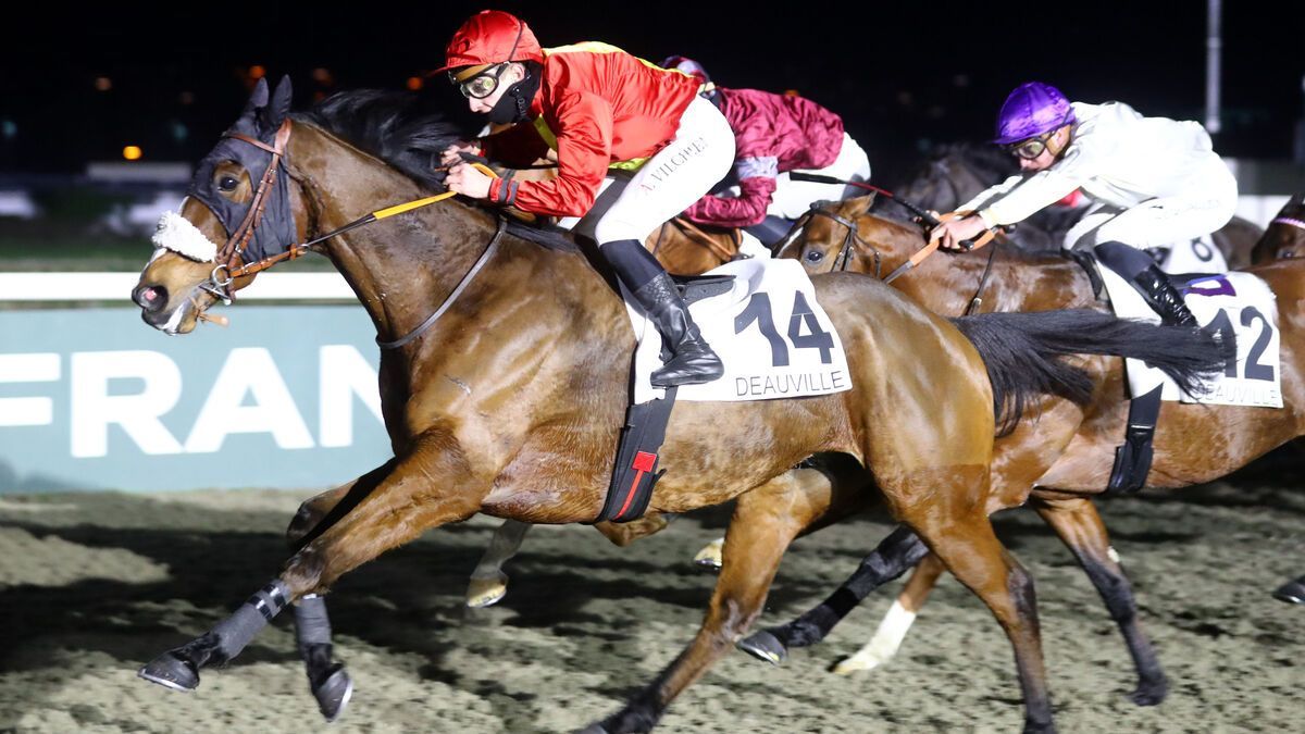 PMU - Résultats du quinté du vendredi 17 janvier à Deauville : Step Morning défie ses limites