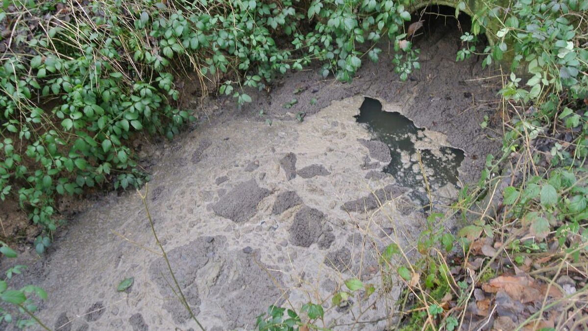 Alerte pollution chimique dans le Rhodon aux Yvelines : Interdiction de flâner sur les rives