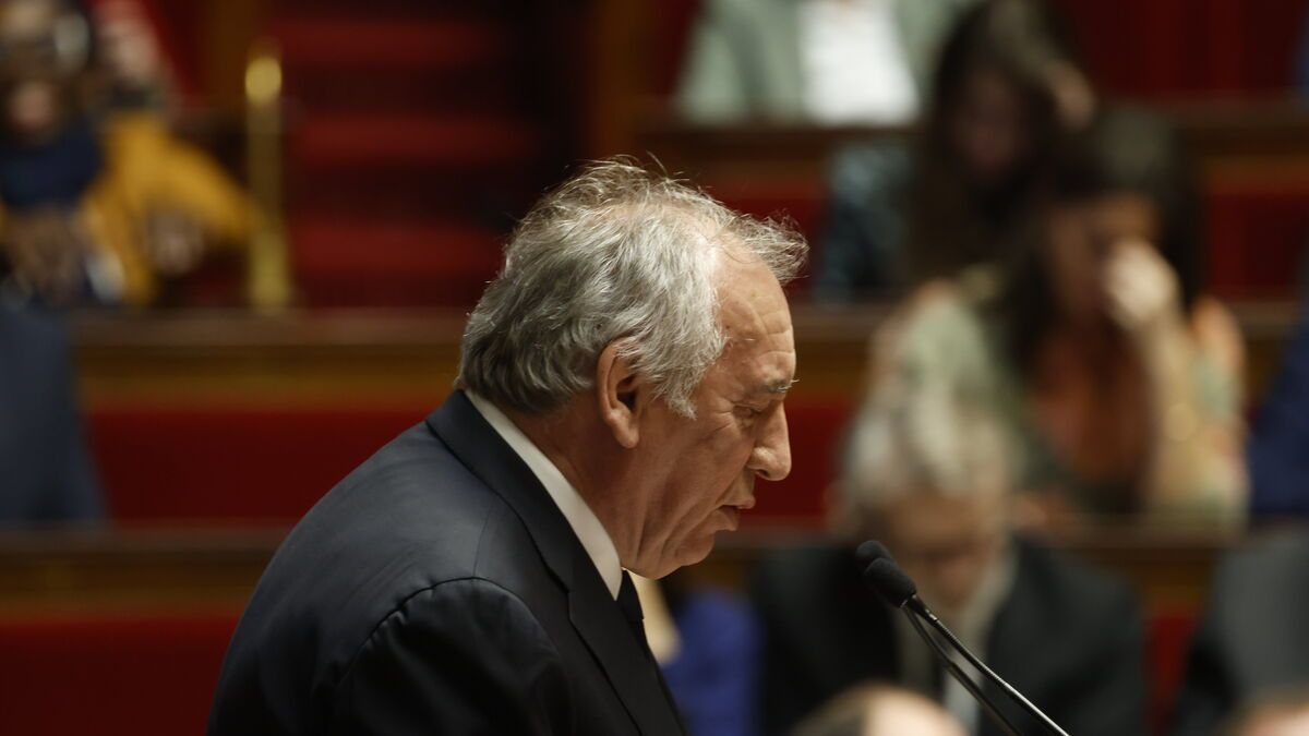 Bayrou utilise l'article 49.3 pour faire passer les budgets de l'État et de la Sécurité sociale