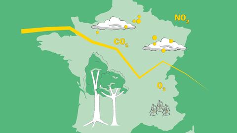 Analyse approfondie des avancées et revers de la langue française: un rapport inédit