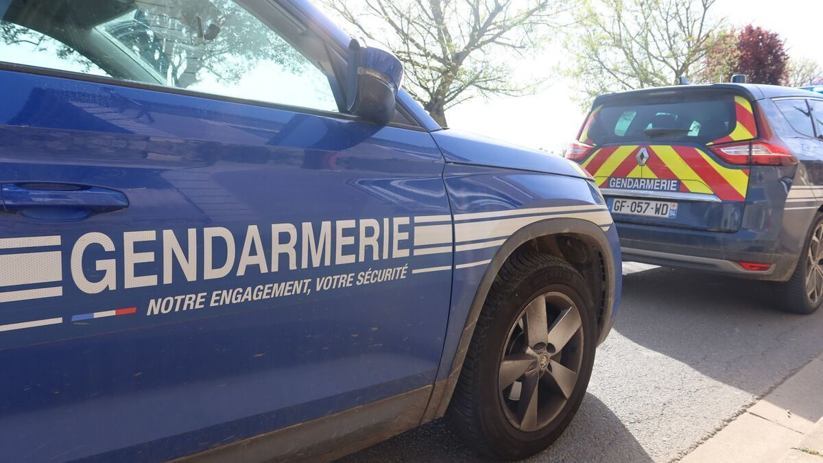 Meurtre à Haut-Rhin : un homme découvert mort dans la cave de son immeuble, ouverture d'une enquête.