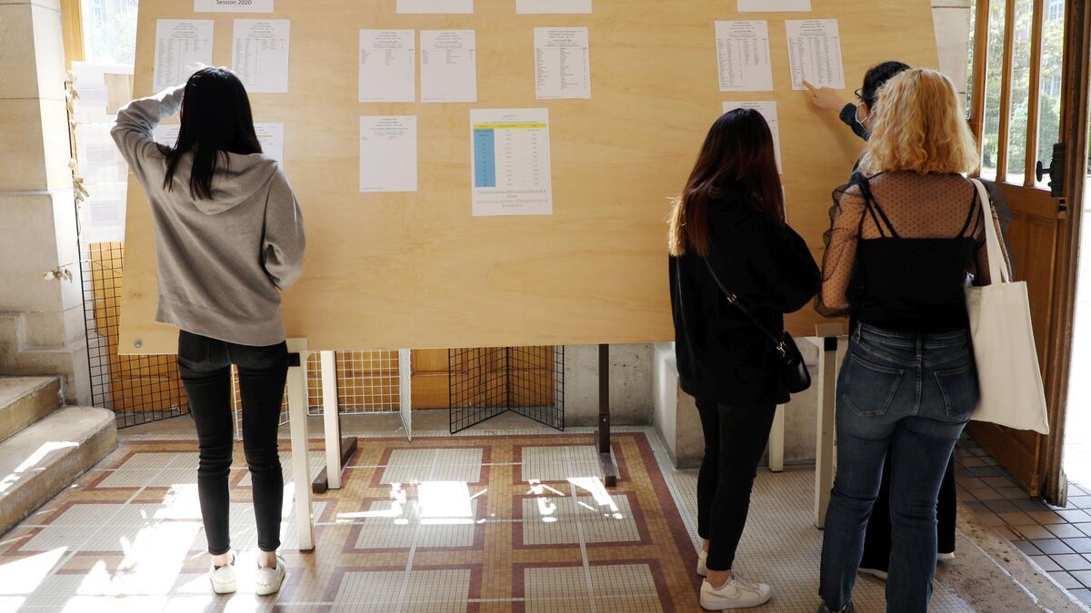 Annonce des résultats du brevet 2025 : calendrier et horaires de diffusion par académie