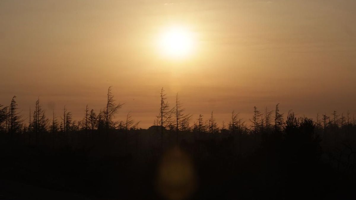 Vigilance orange dans 28 départements du Sud samedi, des températures allant jusqu'à 40°C sont prévues