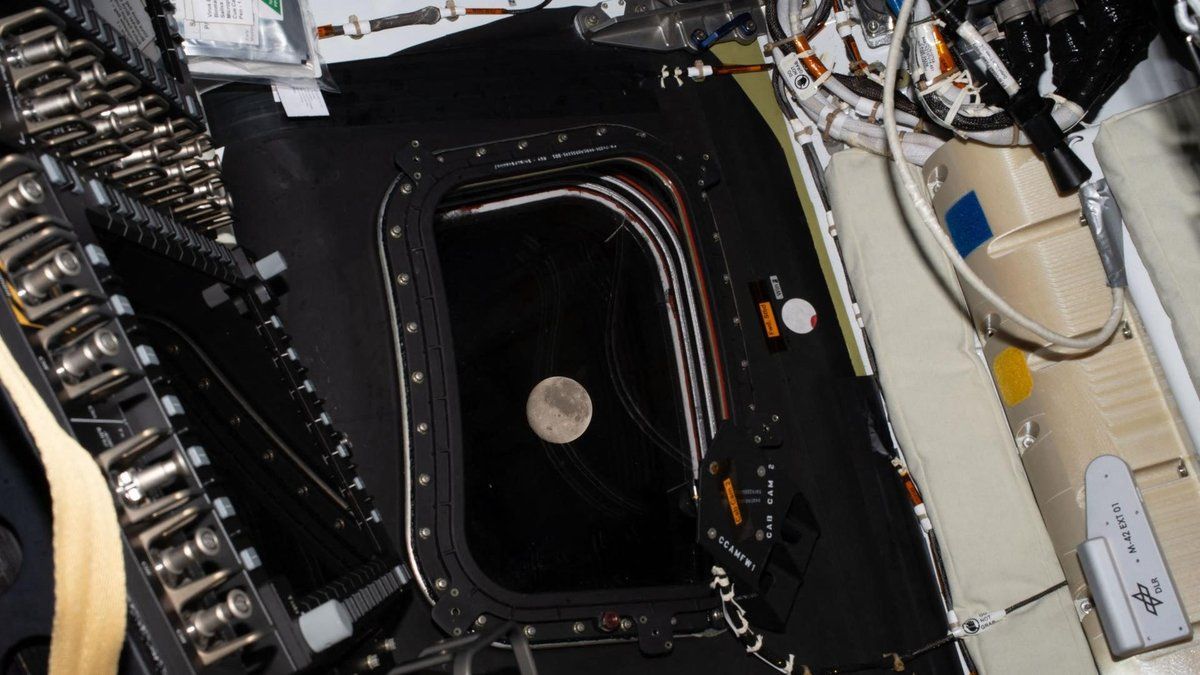 Mission Artemis 2 : suivez le survol lunaire des quatre astronautes.