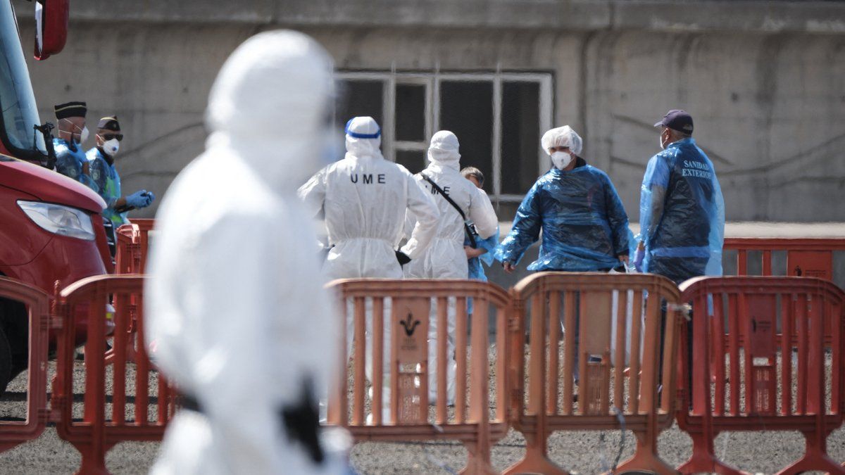 Hantavirus sur un croiseur : que sait-on du Français ayant présenté des symptômes lors de son rapatriement ?