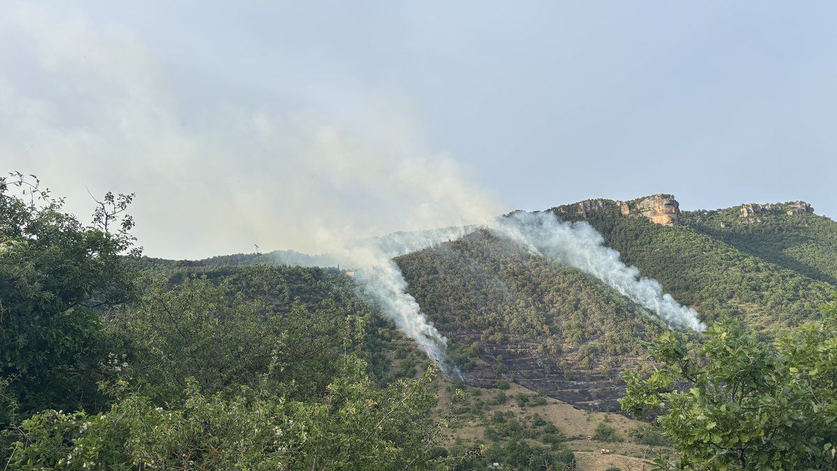 Incendie actif près de Millau : Canadairs et renforts au sol déployés