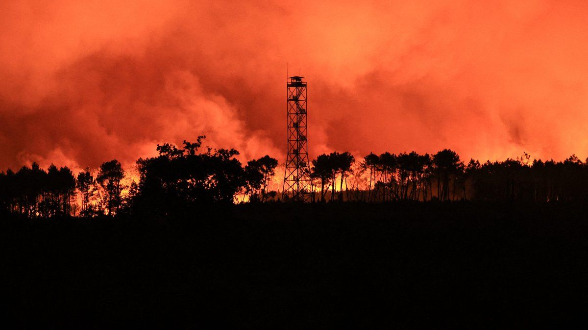 EN DIRECT : Incendies, le feu avance vers Bordeaux, Macron demande la mobilisation des armées - Infos dernières.