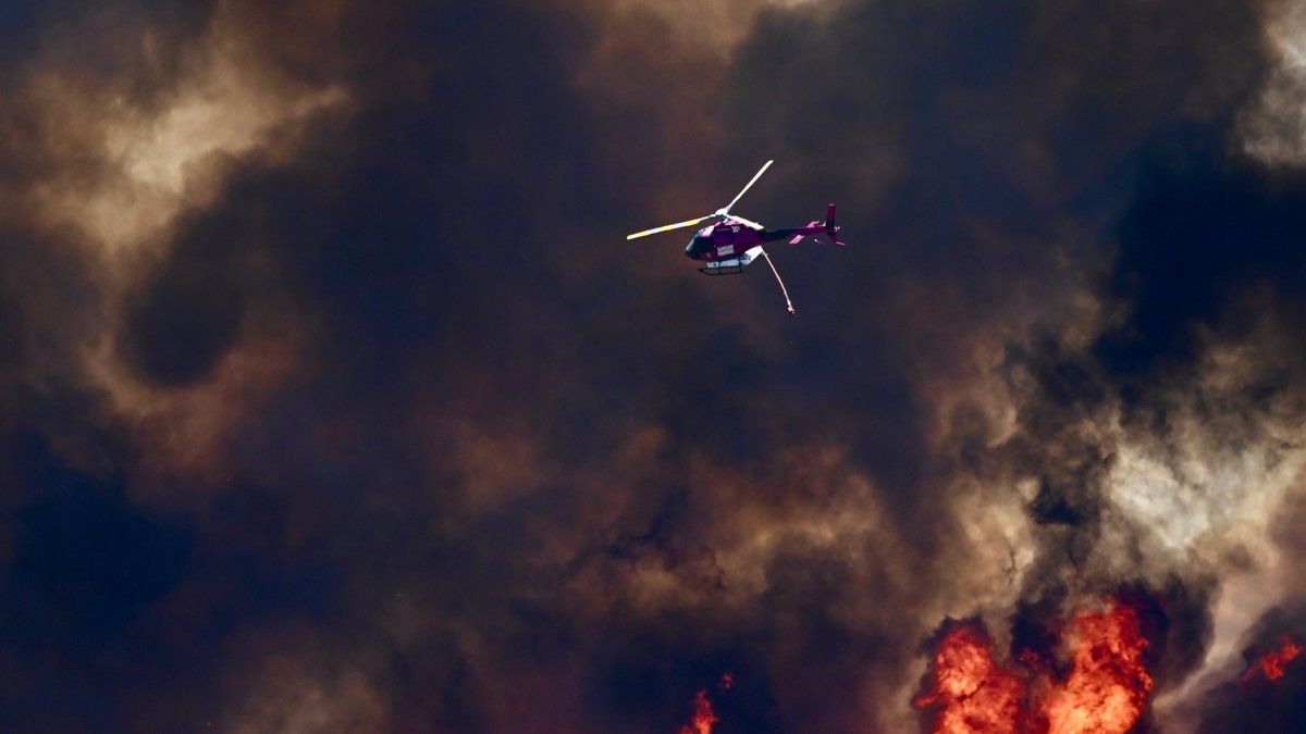 Incendies en Occitanie : point sur les feux de Pyrénées-Orientales, Gard et Hérault ce dimanche.