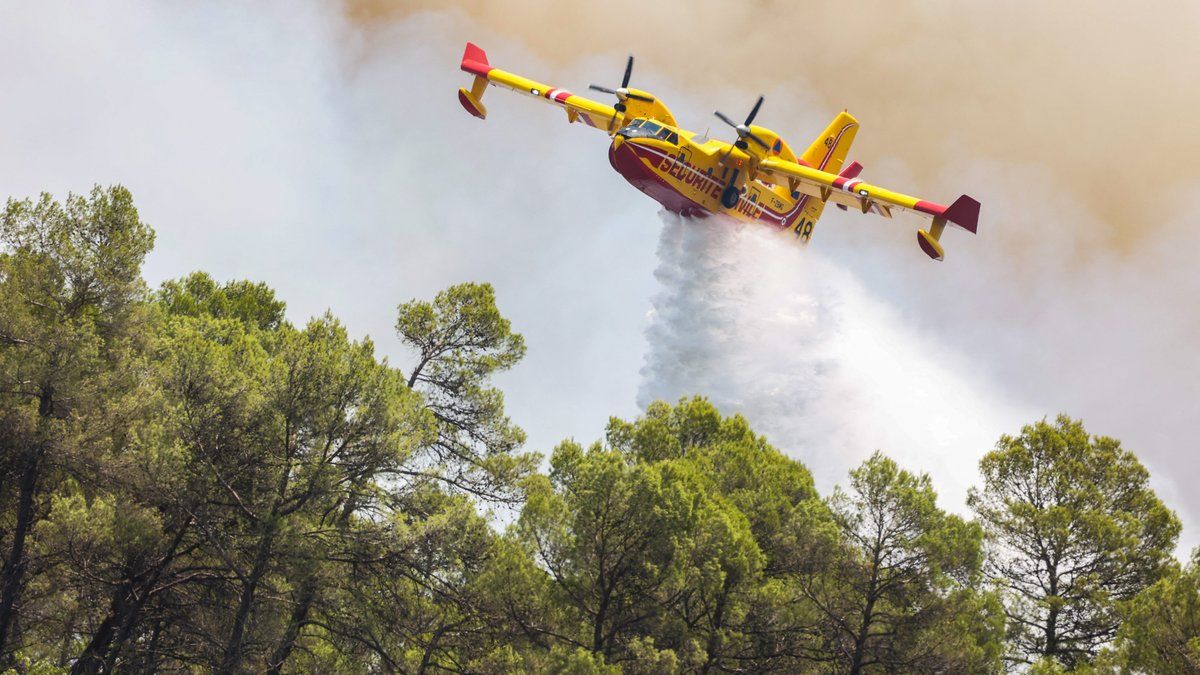 Incendies : une nouvelle commune de Gironde évacuée, "115 000 hectares" brûlés, selon Laurent Nuñez.