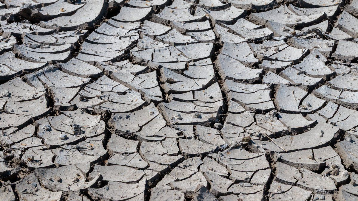 Chaleur record en France : juillet 2026 atteint 24,9 °C, canicule, sécheresse, incendies.